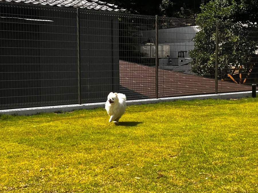 専用ドッグラン